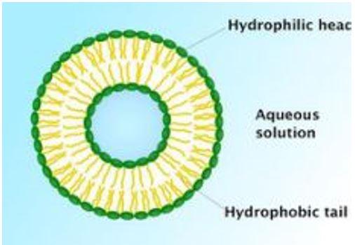 Aqueous Solution