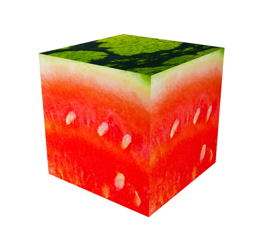 Food product consultant - watermelon cubes