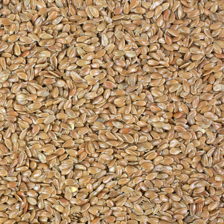 Closeup of raw flaxseed