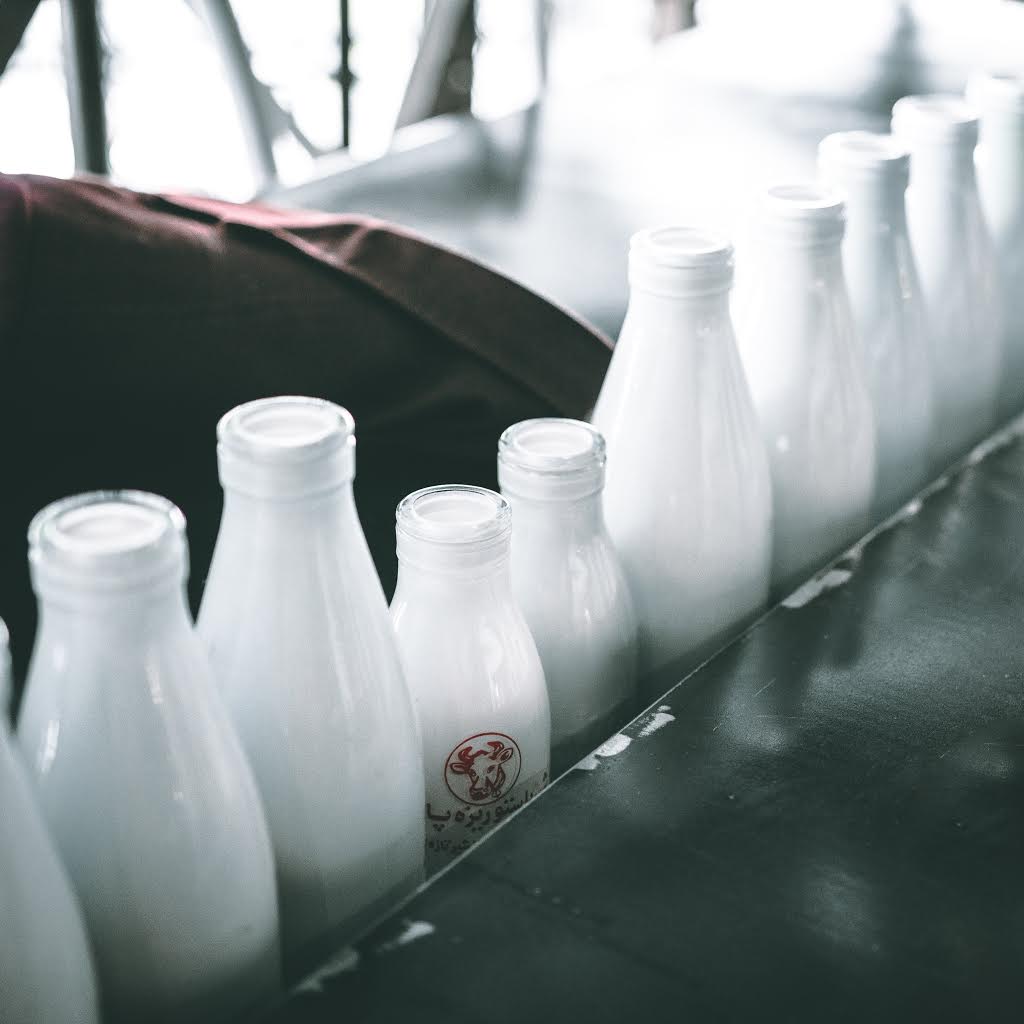 A row of bottled fresh milk