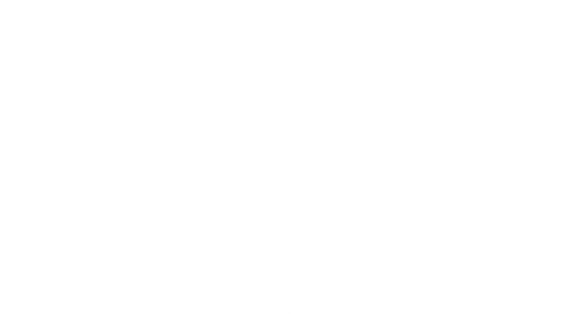 Market Expansion icon