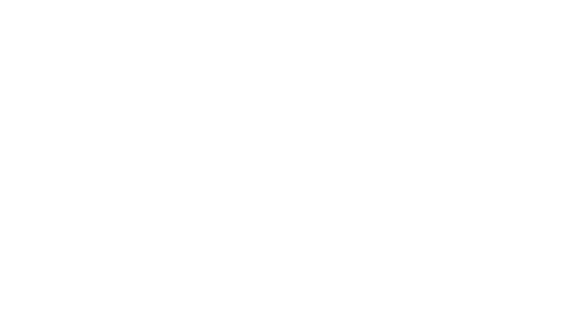 Risk Mitigation icon