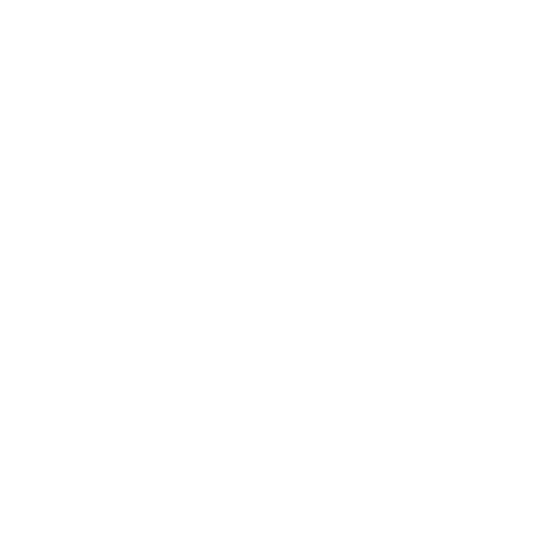 Confidentiality icon